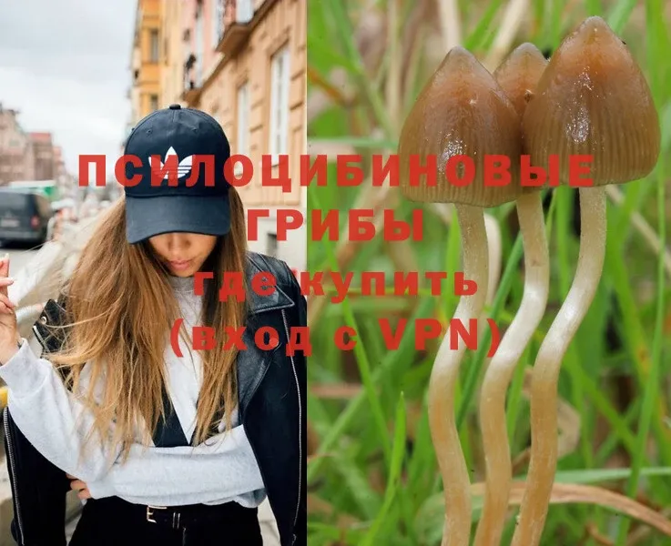 Галлюциногенные грибы Magic Shrooms  закладка  это состав  Торжок 